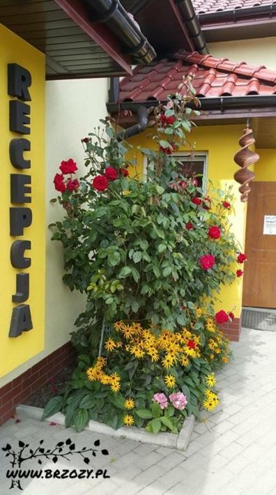 Pod Brzozami - Pokoj 2-Osobowy Z Udogodnieniami Dla Niepelnosprawnych Hotel Ustronie Morskie Exterior foto